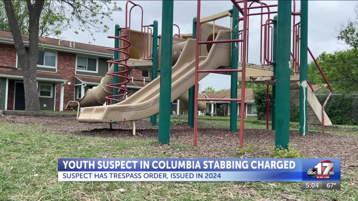 Youth suspect in custody in Columbia stabbing