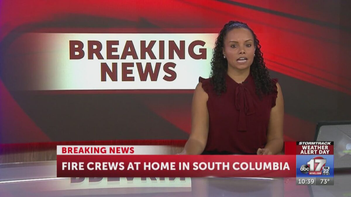 4 kittens saved in south Columbia house fire