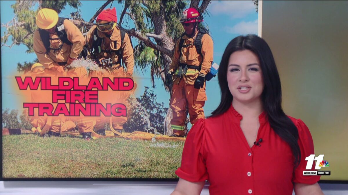 Imperial Valley Fire Departments participate in wildland training