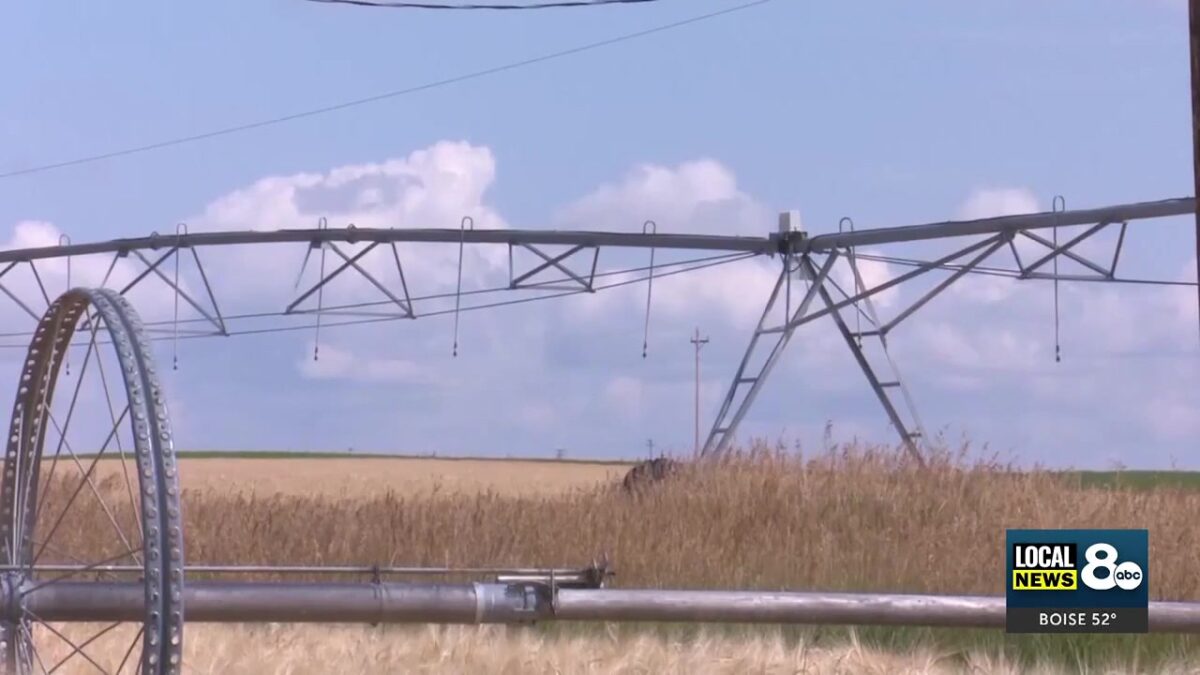 Surface Water Coalition