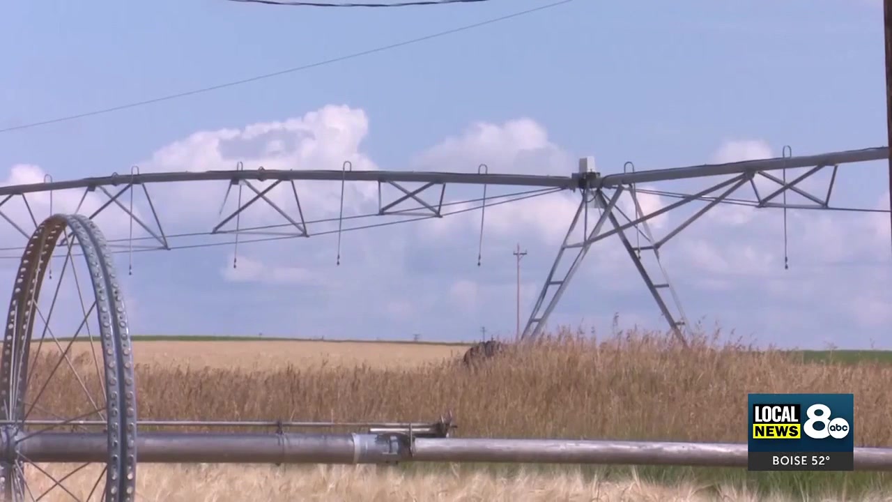 Surface Water Coalition