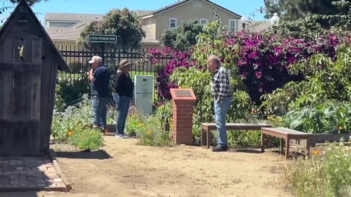 Farm Day Grows in Popularity