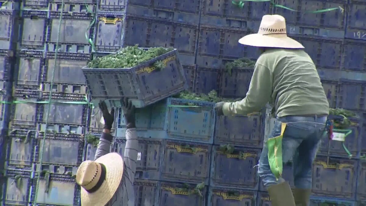 Central Coast Recognizes First-Ever “Farmworkers Day”