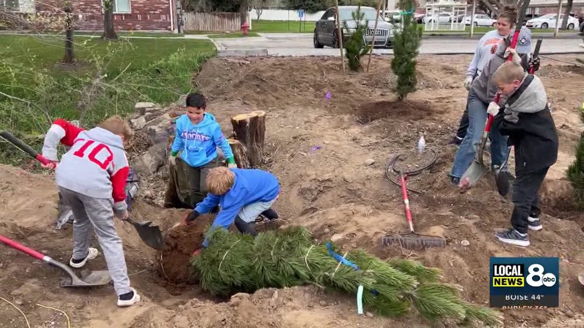 Rexburg’s branching out: City launches $1 million trees project on Arbor Day