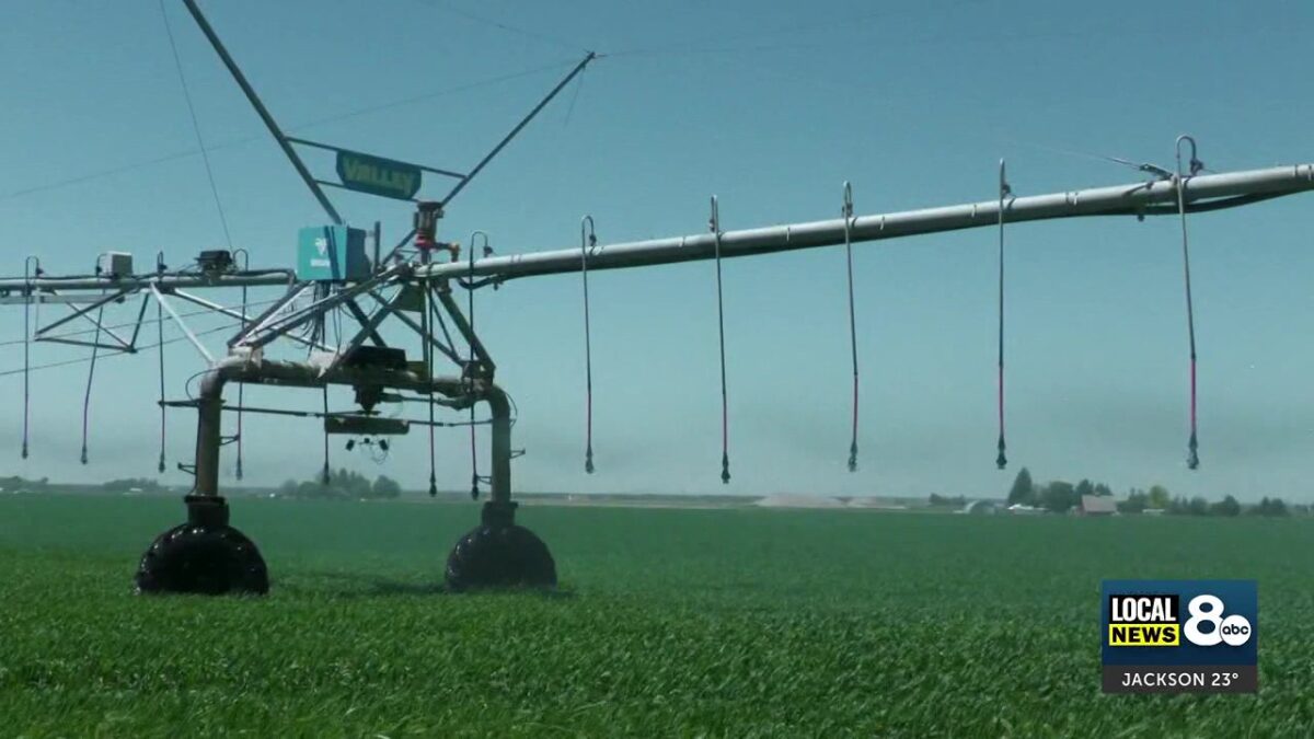 Turn the pumps back on: Curtailment order temporarily lifted for most Butte County farmers