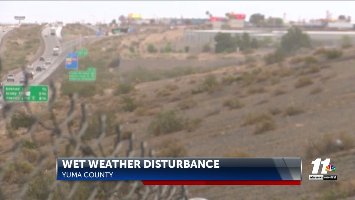 Local farmers react to wet weather disturbance