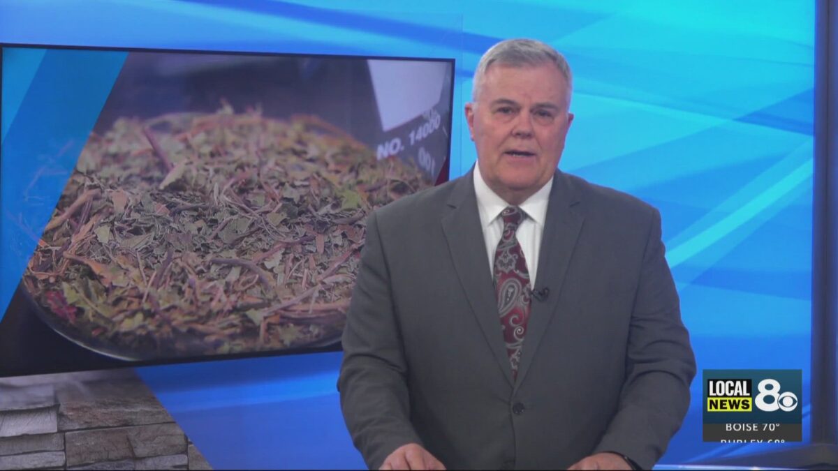 Kellogg considers kratom ban amid amid growing statewide safety concerns