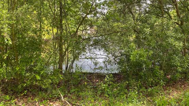 The St. Tammany Parish Sheriff’s Office is investigating after skeletal remains were found near Slidell on Monday afternoon.