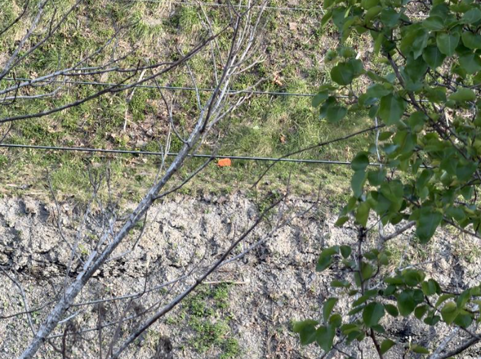 Nearly two and a half months after 48-year-old Marvin Knuckles fell to his death down an icy