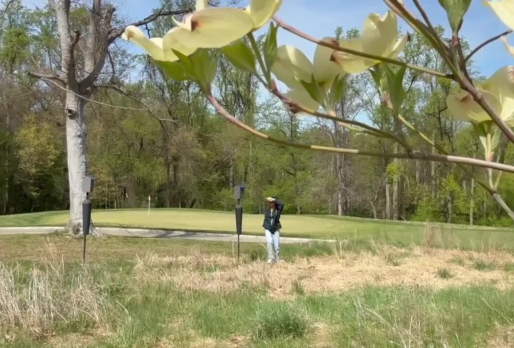 Students at the University of Maryland are using the campus golf course to restore rain gardens and track bird populations through a national citizen science effort.