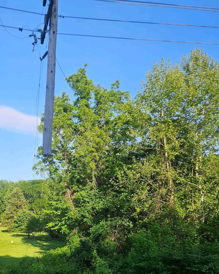 Power restored for Boone Electric customers after outage