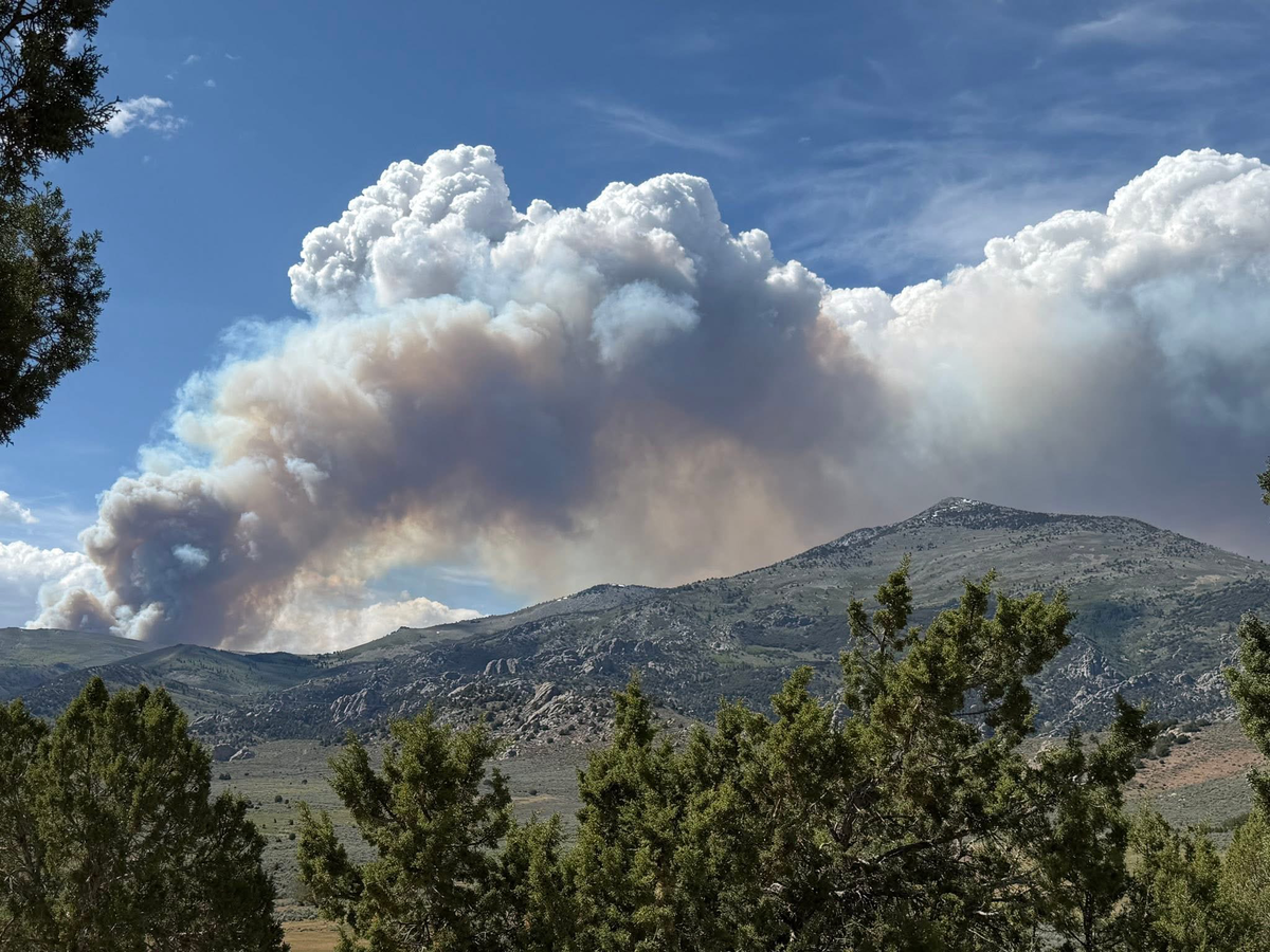 Fire South of Burley Burns Over 500 Acres
