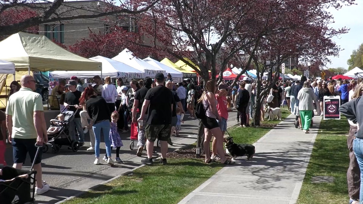 Mass resignation: Idaho Falls Farmers Market Board steps down after public outcry over former manager’s plea agreement