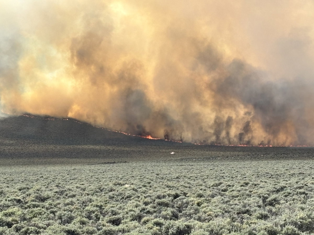 Learn about home hardening and evacuation at Bend wildfire event