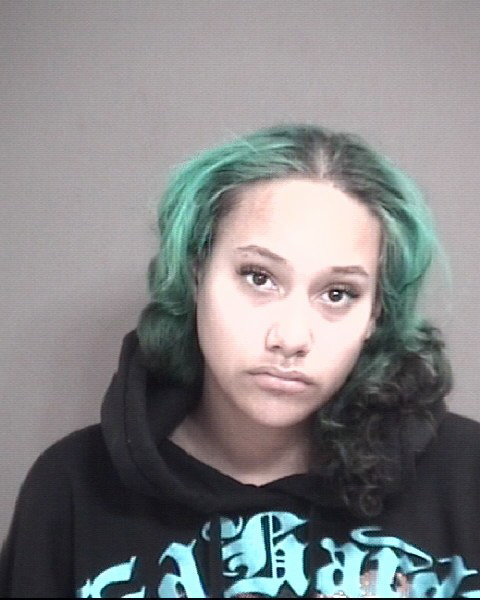 Woman charged with felony after chase with Boone County deputy
