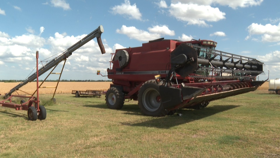 Kansas wheat farmers are facing a difficult season as dry weather