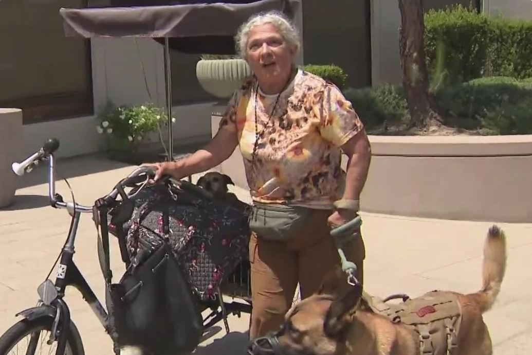 Diane Chavira left her home with her four dogs