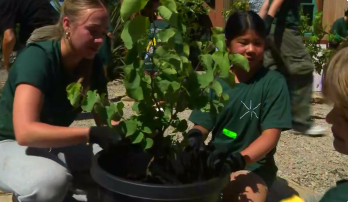 Young students got to use their green thumbs today at a Pacific Palisades school nursery