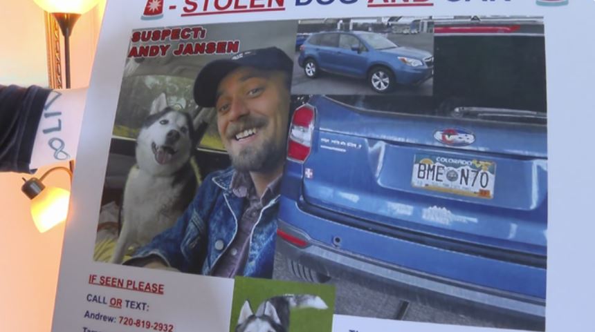 Maverick is Beckham's 11-year-old Siberian Husky