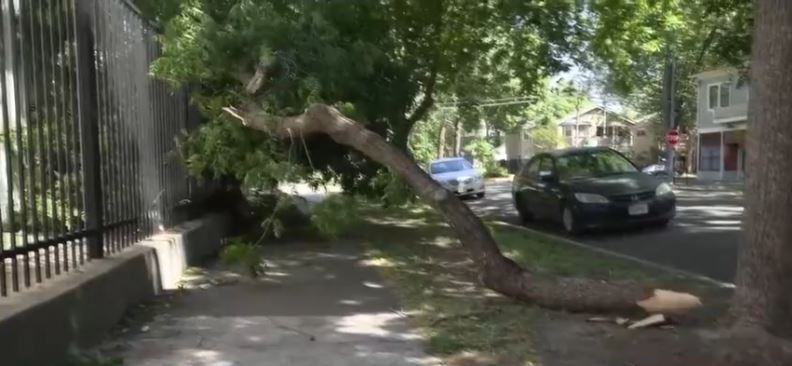 Strong winds swept across Northern California over the weekend
