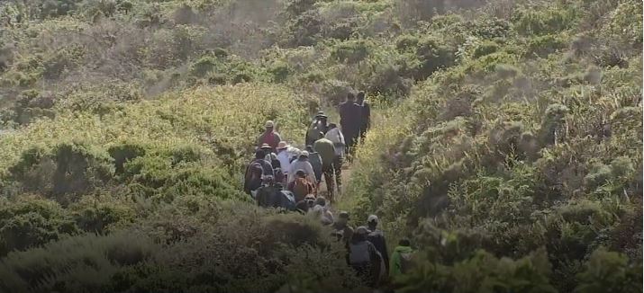 A packed parking lot along the San Mateo County coast early Monday marked the largest gathering yet for a Bay Area hiking group formed by unemployed workers