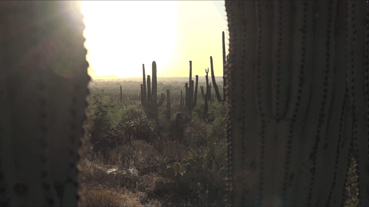 Dozens of people from across the United States gathered at South Side Presbyterian Church in Tucson to take part in the 23rd annual Migrant Trail Walk