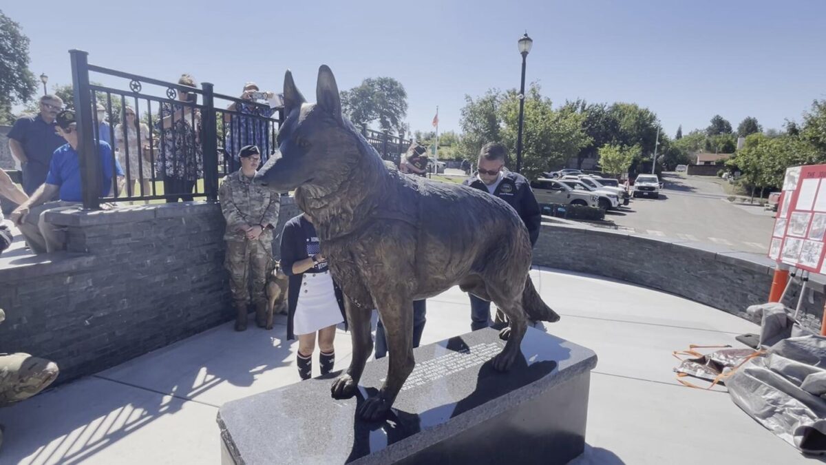 A new monument unveiled Monday at the Butte County Veterans Memorial Park is honoring a different kind of American hero — the military working dogs credited with saving thousands of U.S. service members’ lives in combat zones and on military installations.