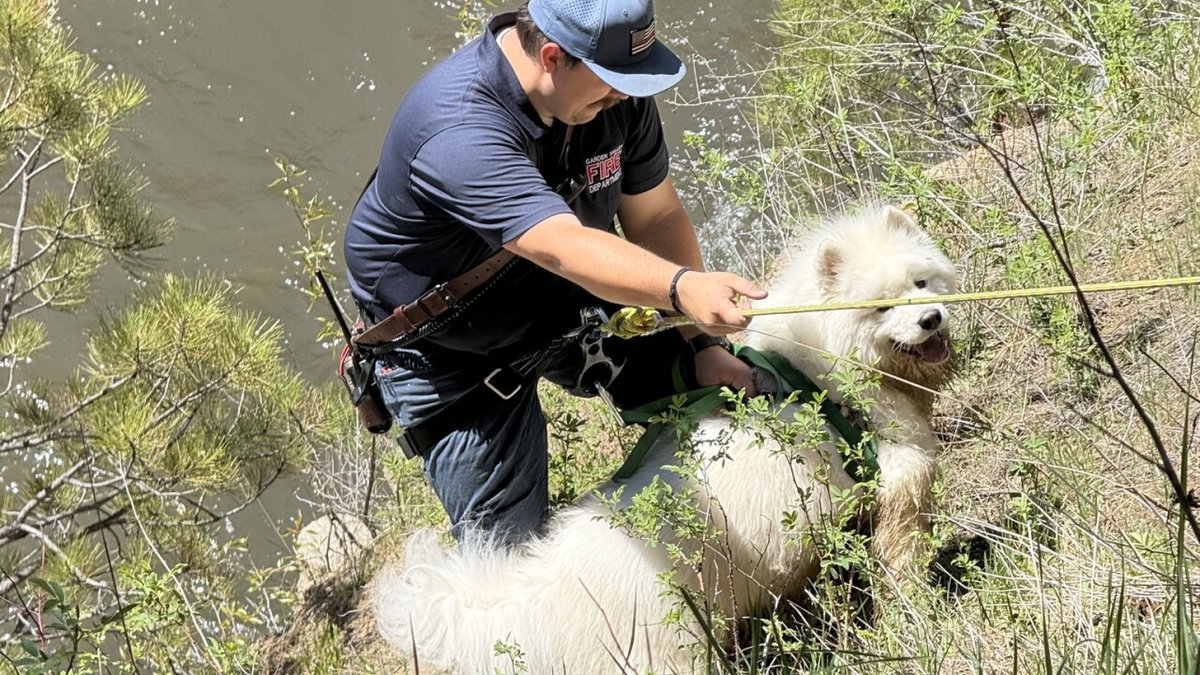 Reunited: First responders rescue 70-pound dog