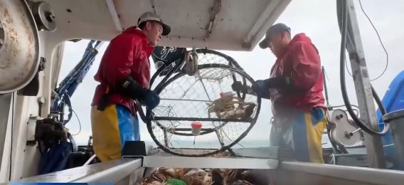 A San Francisco tech billionaire is leading an effort to bring back local crab in time for Thanksgiving