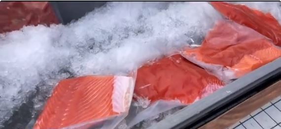 Seafood lovers in San Francisco were rejoicing on Saturday as sales resumed of fresh-caught Chinook
