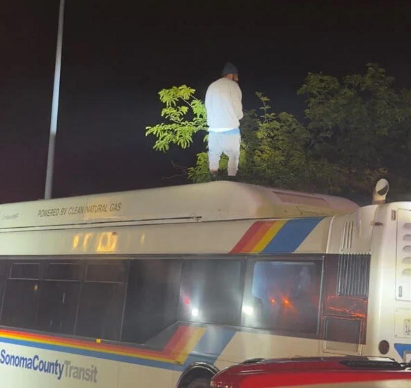 A man is seen standing atop a Sonoma County Transit bus in the area of Mendocino and McConnell avenues in Santa Rosa