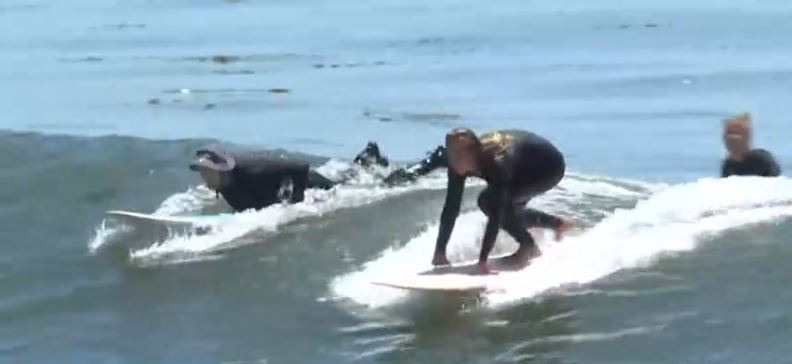 The organization behind a proposed female surfer statue