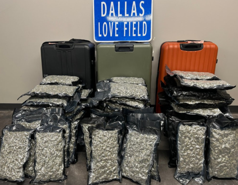 A suitcase that broke open onboard a flight from Las Vegas to Dallas Love Field exposed a significant stash of marijuana.