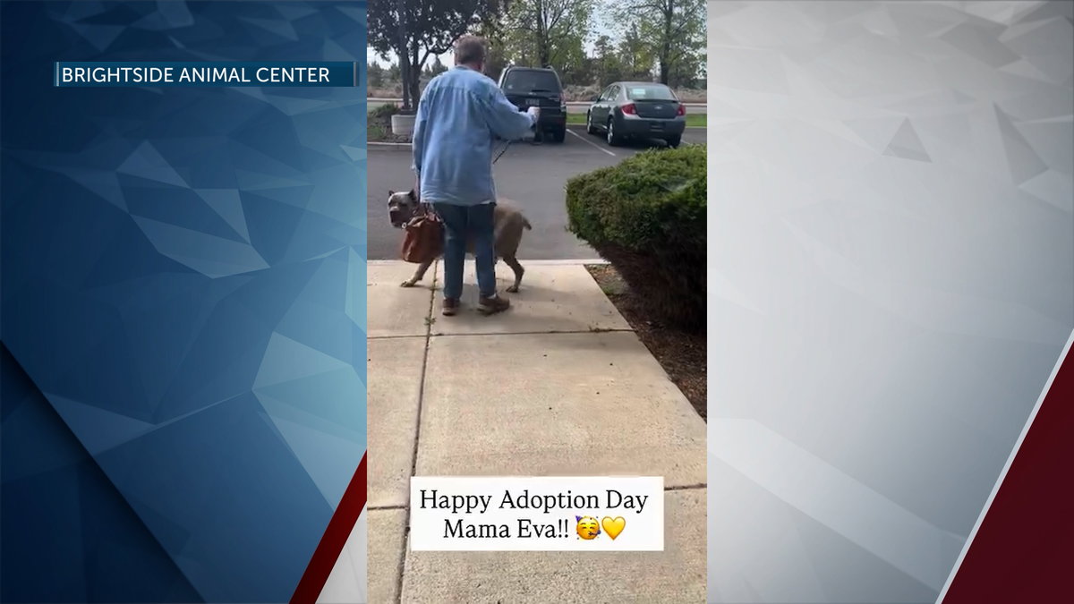 There’s Good News: A long journey ends for Mama Eva