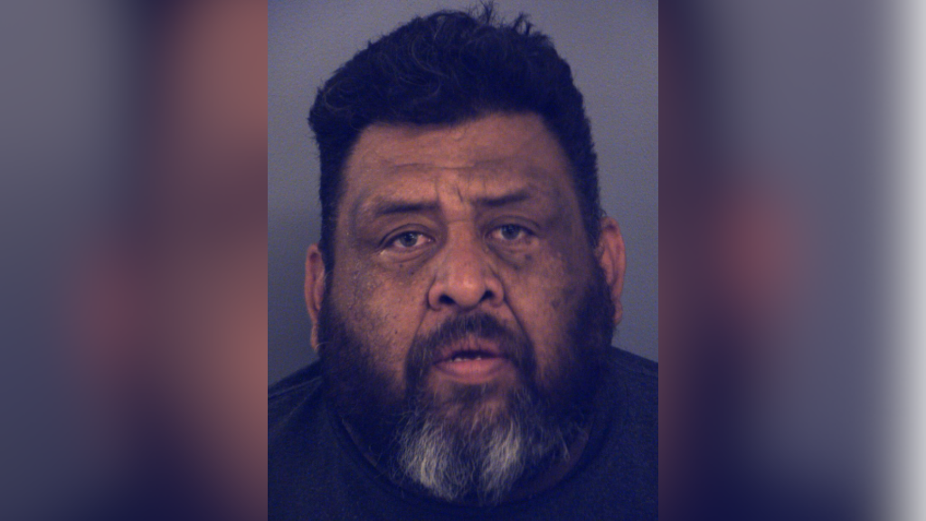 Man charged for animal cruelty after deputies find malnourished dog