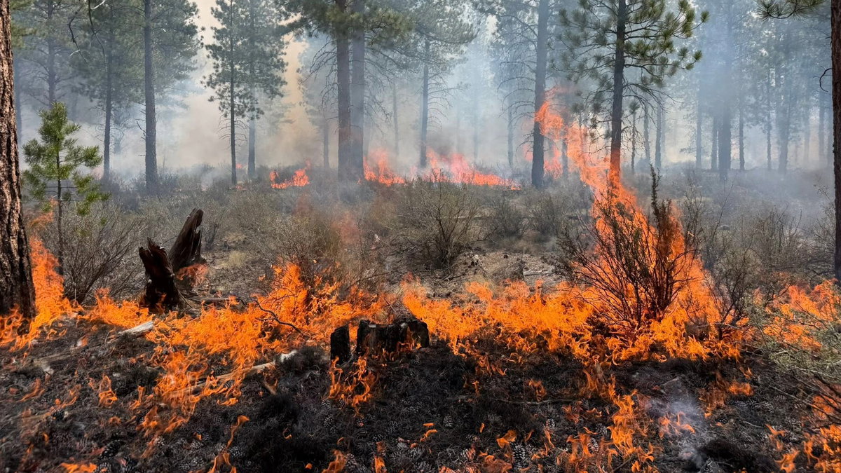 Happening Friday: Prescribed burn planned to protect Crescent homes from wildfires