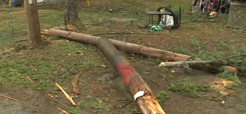 Scott Towers describes the moment he had to shove his son out of the way of a falling power line.