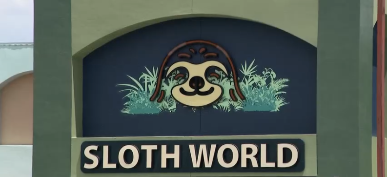 Experts call for an import ban on sloths following the death of 55 sloths at the never-opened Sloth World.