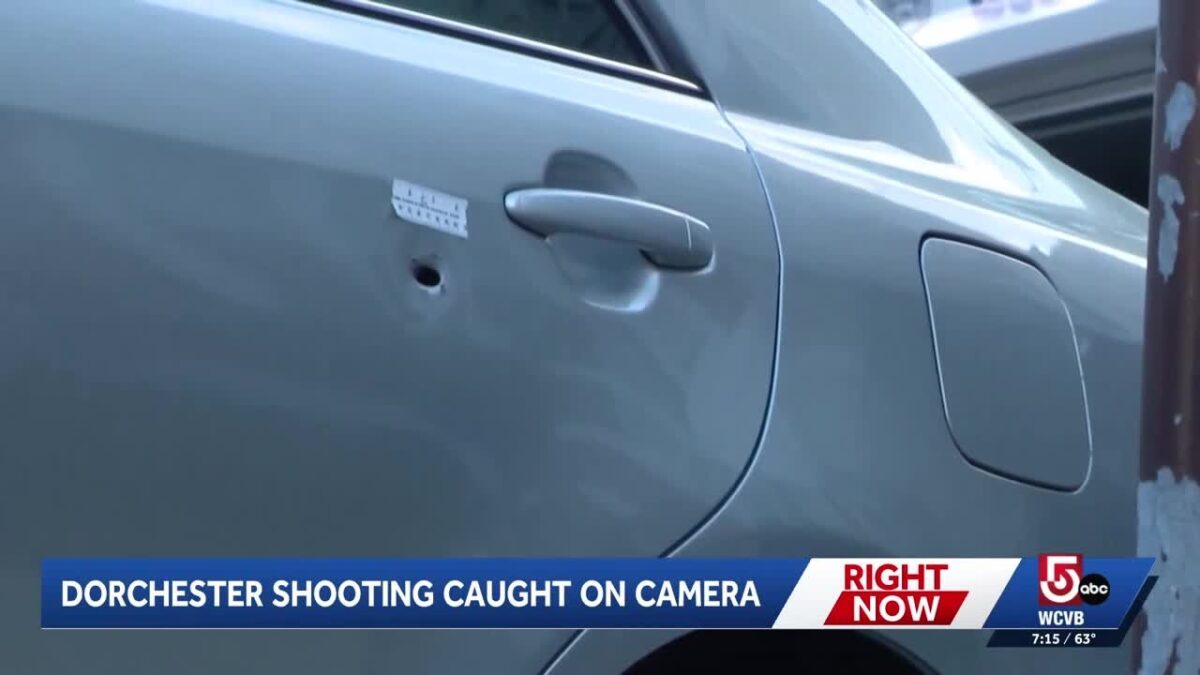 The shooting is the latest in a string of incidents under investigation in the city.
