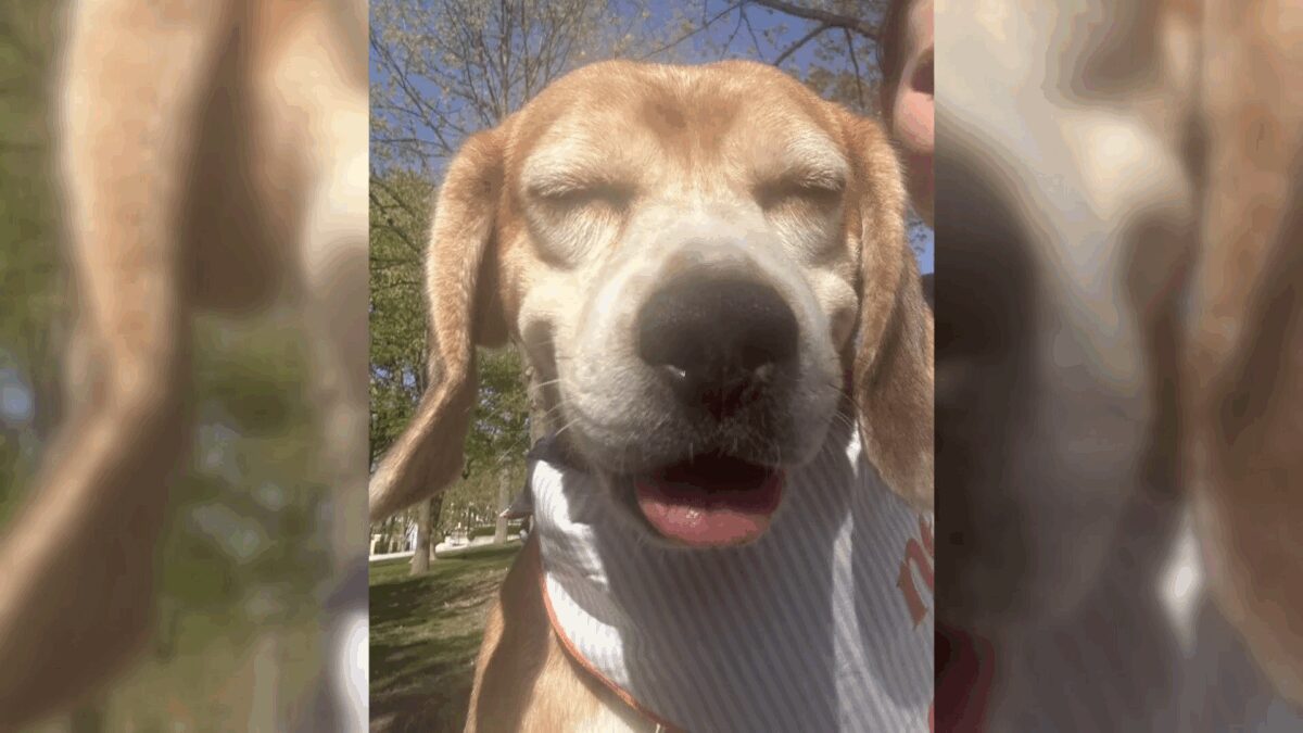 Evie McClenny and her dog Ernie are starting a new life together.
