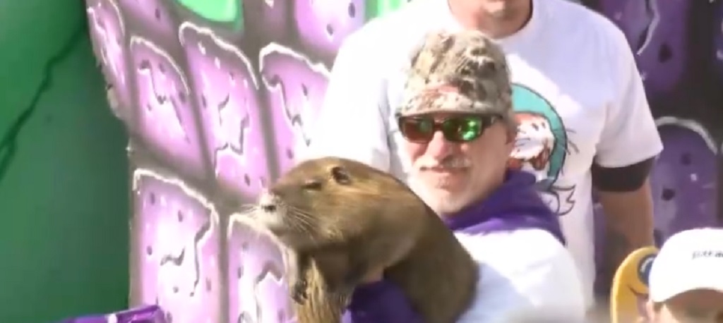 Neuty the nutria