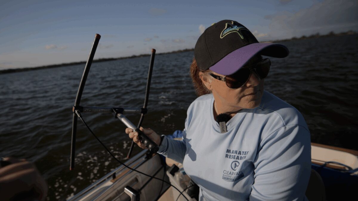 In Tampa Bay