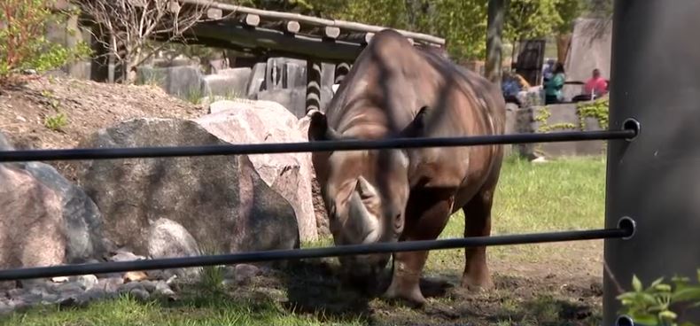 The Milwaukee County Zoo has opened its new Rhino Care Center