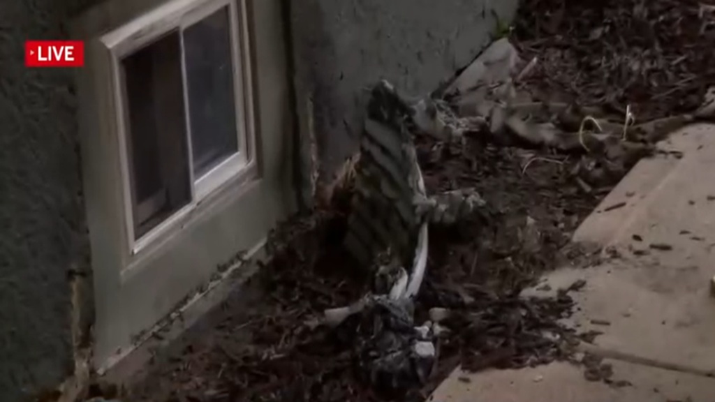 Video shows man pulls out a lighter and set a wall on fire.