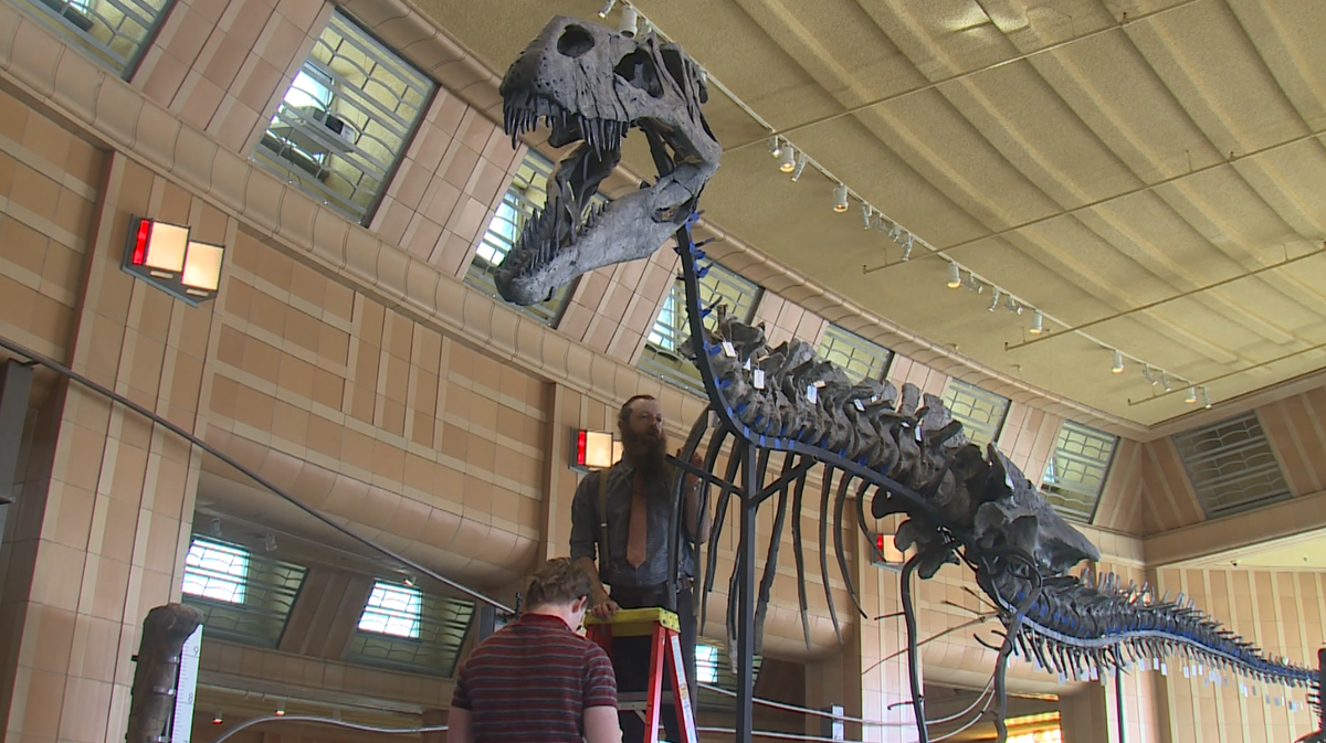 Paleontologists from Cincinnati and Pittsburgh come together to conduct special research on a one-of-a-kind dinosaur on display at the Cincinnati Museum Center.
