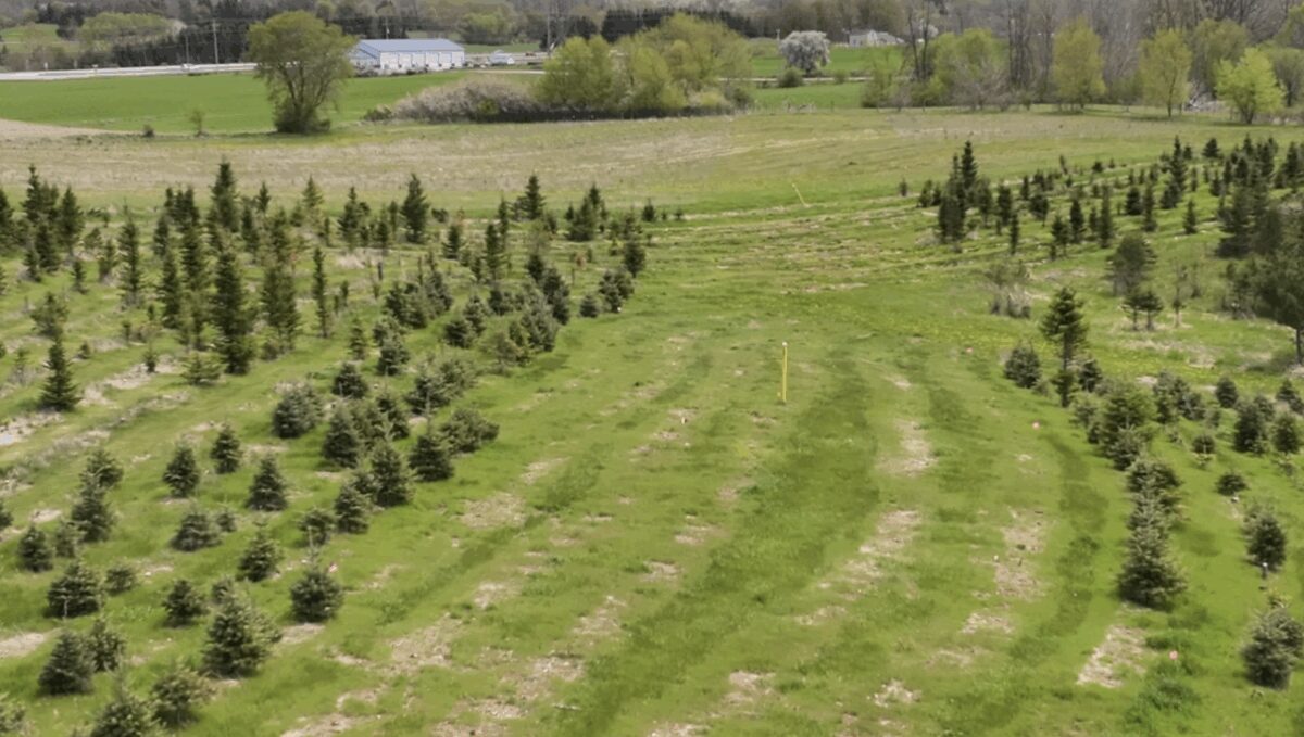 Jon Bigler has grown and sold Christmas trees on his farmland in Waldo for 30 years. A natural gas pipeline runs beneath the heart of his property