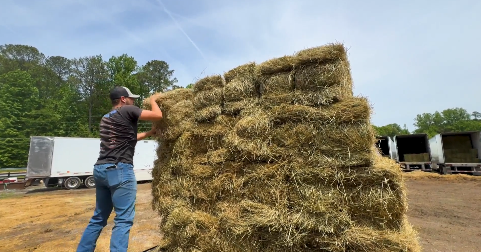 Livestock owners are relying more heavily on hay