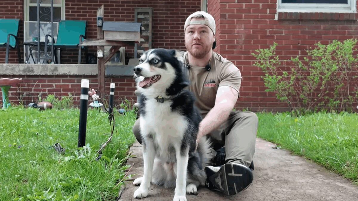 A Warren family's search for their missing dog ended with a police investigation and an arrest after a 21-year-old man allegedly demanded money in exchange for the dog's return.