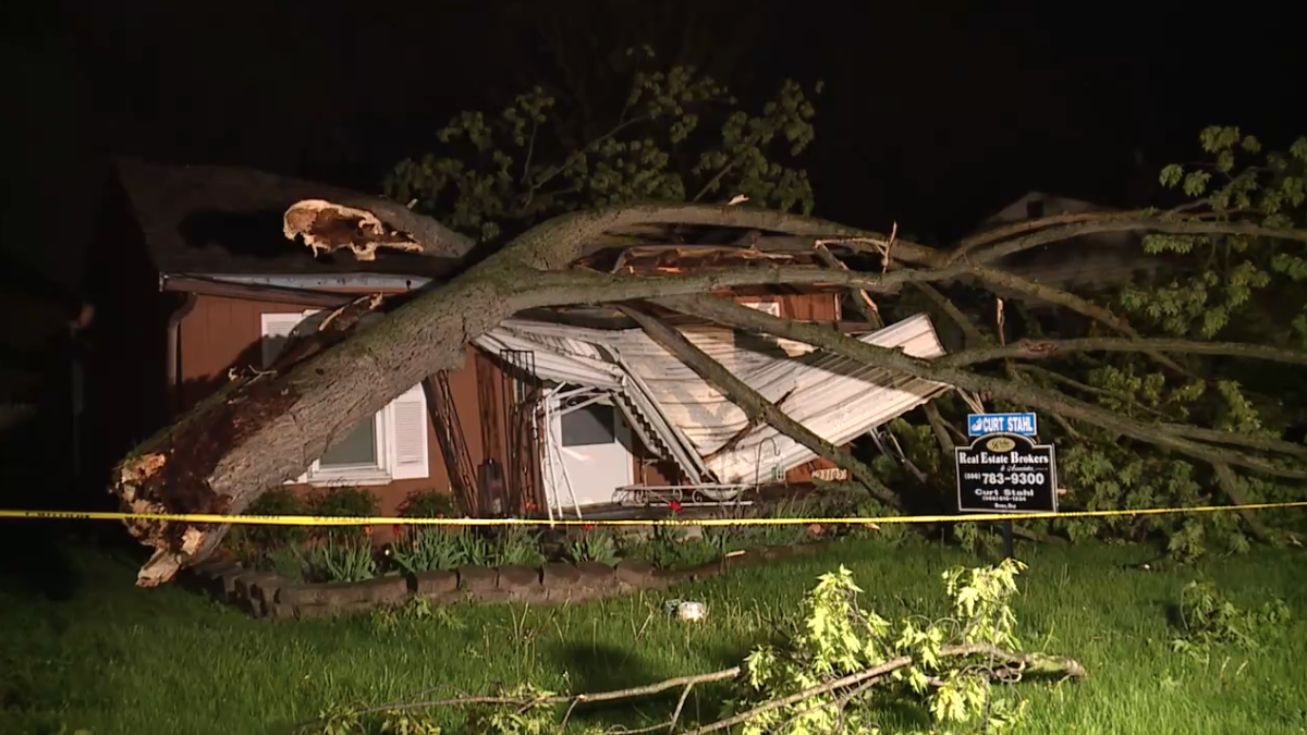 Storms with strong winds and hail caused damage in Southeast Michigan Monday night. Trees crashed onto two homes.