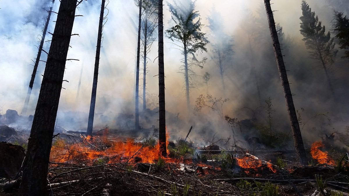 Smoke returns to Central Oregon as Pine Mountain burn gets underway